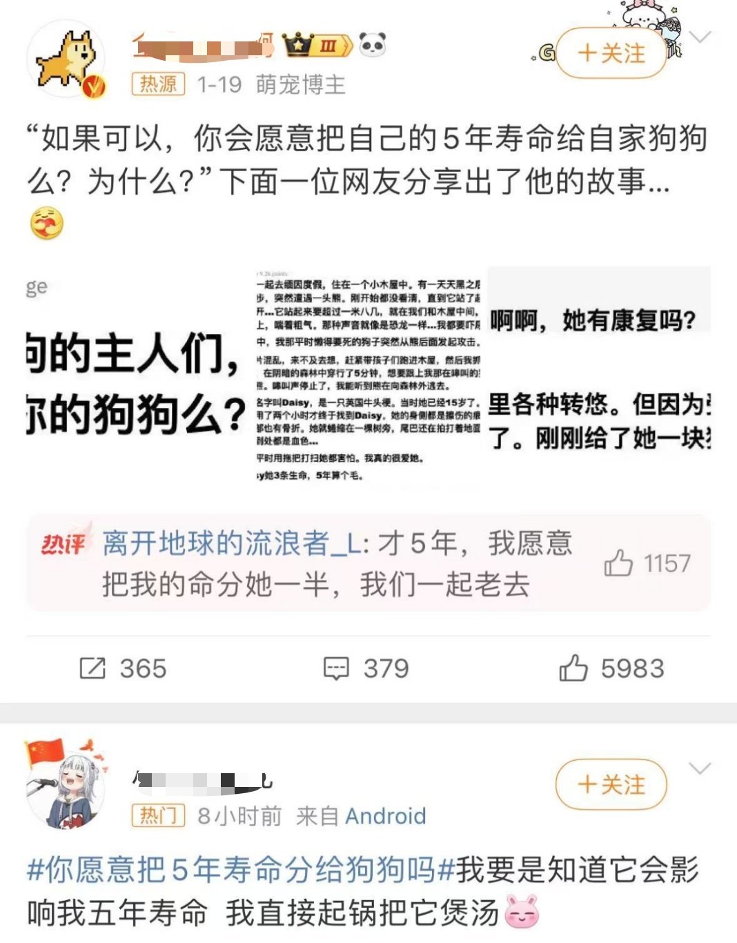 “你愿意把5年寿命分给狗狗吗？”“我愿意。”“那你愿意拿出5000元，帮忙领