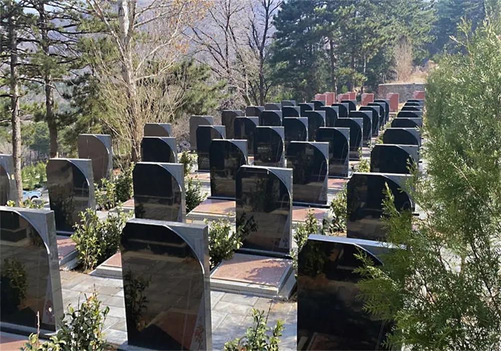 六十八岁的张大爷，这天一早就揣着钱去了父母的墓地，每年清明前后，他都要过来拜祭，