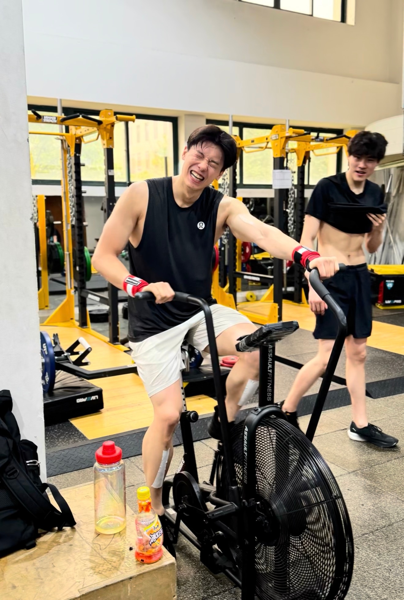 顺顺现在对顺丝完全是这样，是小猫是小狗是小兔，露出肚皮任rua，宝宝