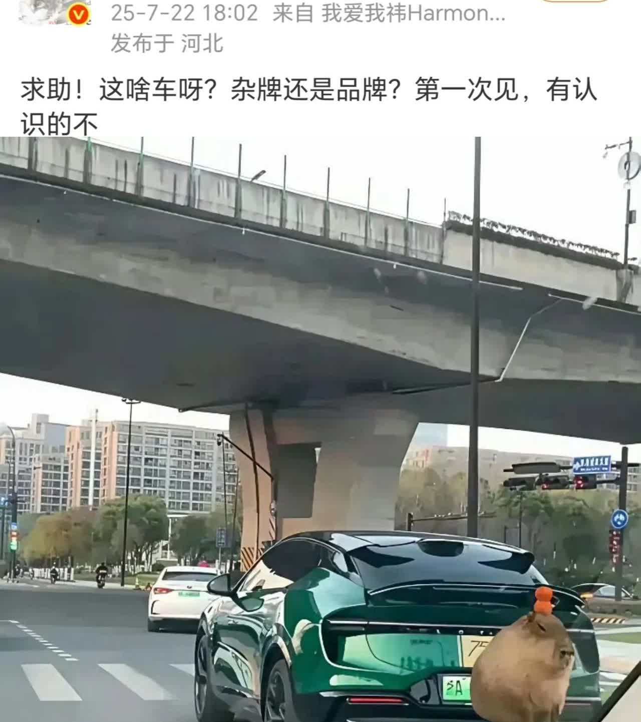 全球三大跑车品牌，竟然说出第一次见