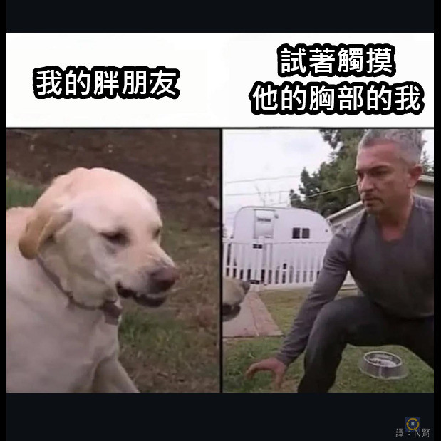 别碰兄弟memes