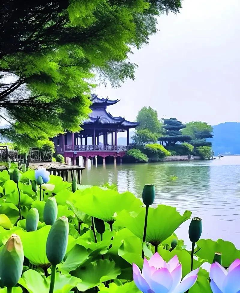 我在一个单位做保安，昨天上午，一个30岁左右的女人，背个鼓鼓囊囊的包走进院子里东