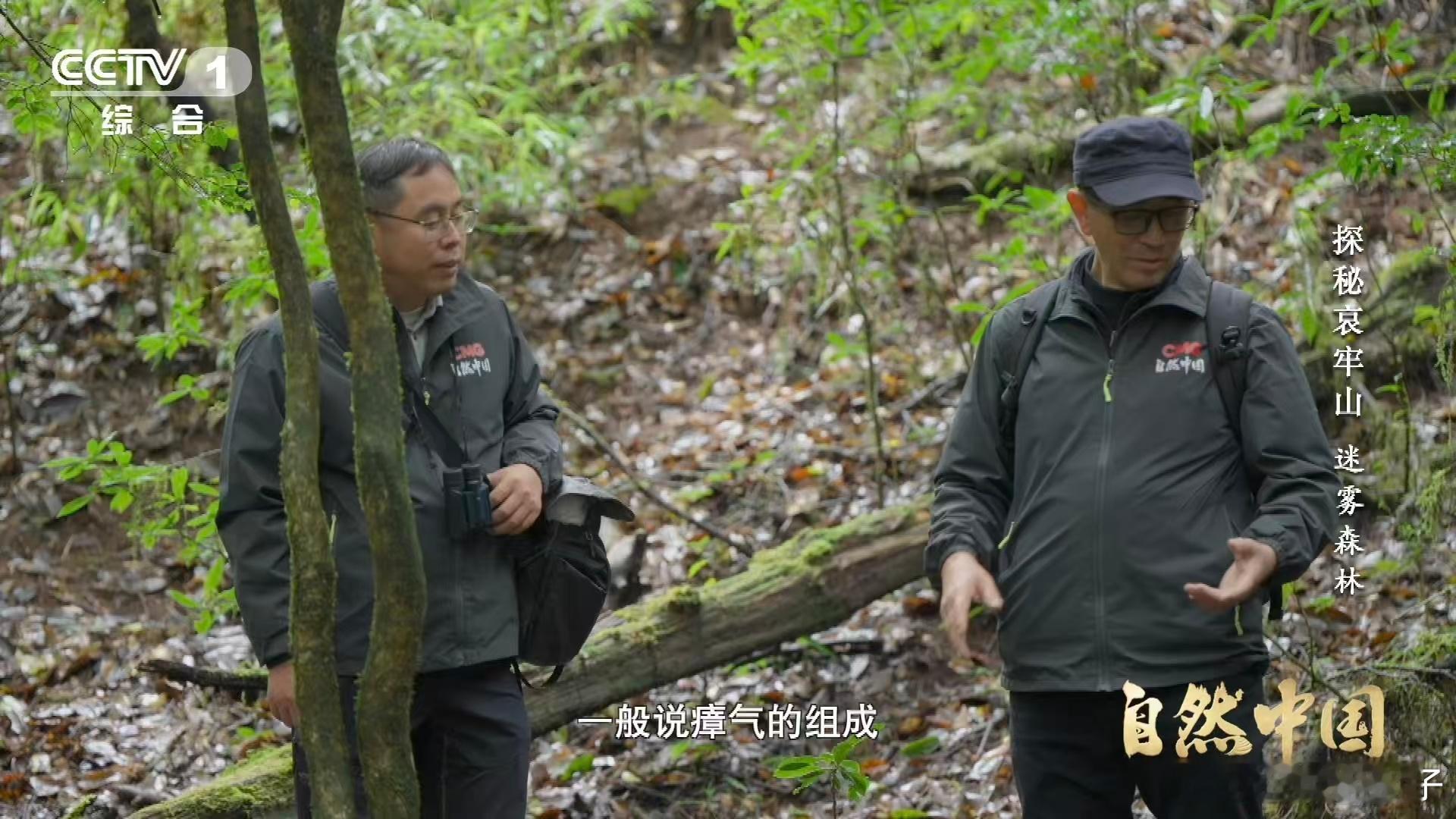 武侠小说的瘴气竟真实存在瘴气成分被测出来了武侠小说中瘴气常被描绘得神秘莫测，如