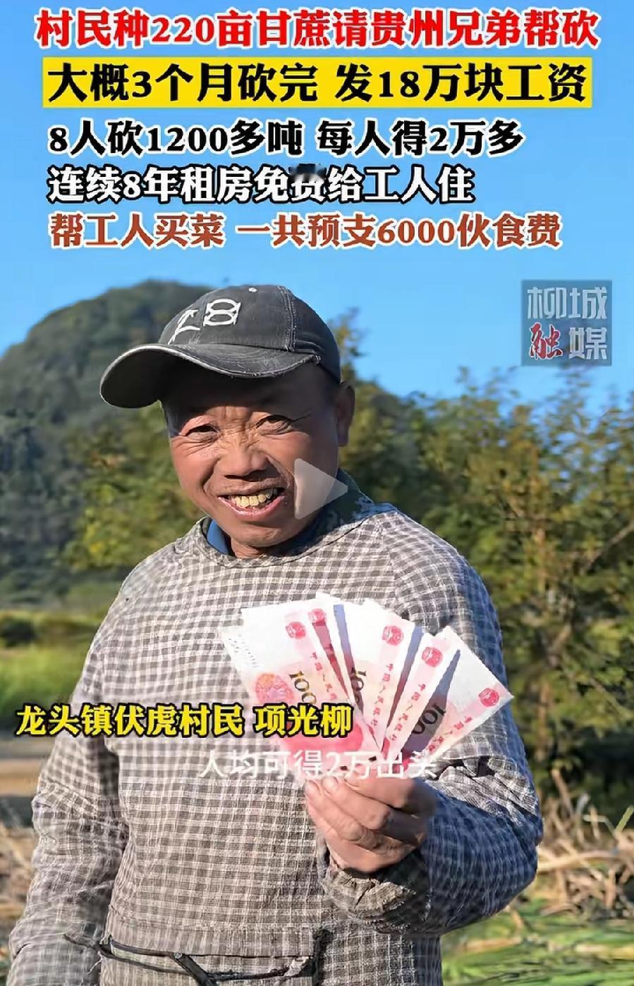 贵州8人3个月砍220亩甘蔗拿18万工资，真的不多！每人不到2万5，一个月也就7