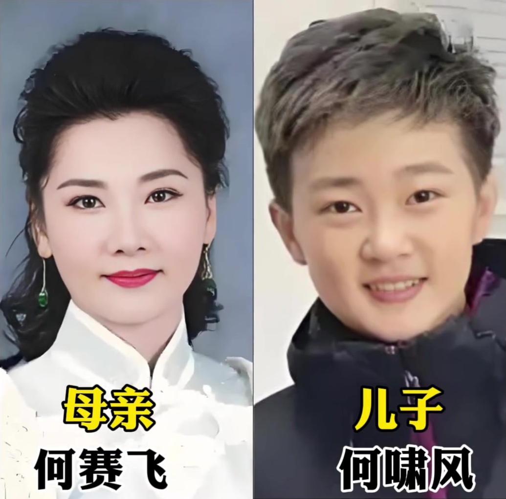 何赛飞Vs儿子，赵雅芝Vs，王洁丽Vs王雷，吕中Vs儿子四对母子，谁惊艳？