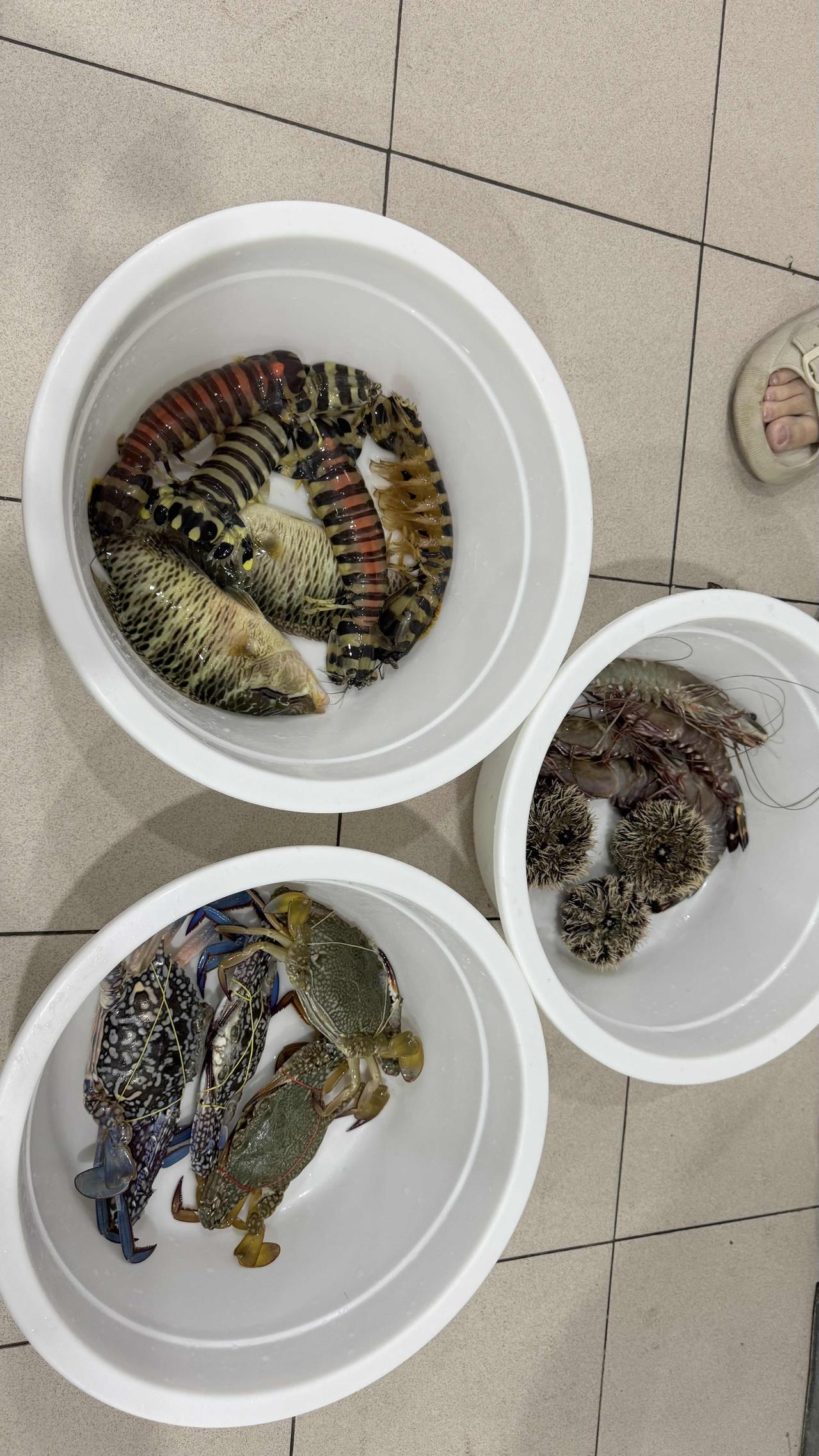 我在仙本那花了300人民币拿下了海鲜！目前国内还有什么地方能吃到这么便宜的海鲜