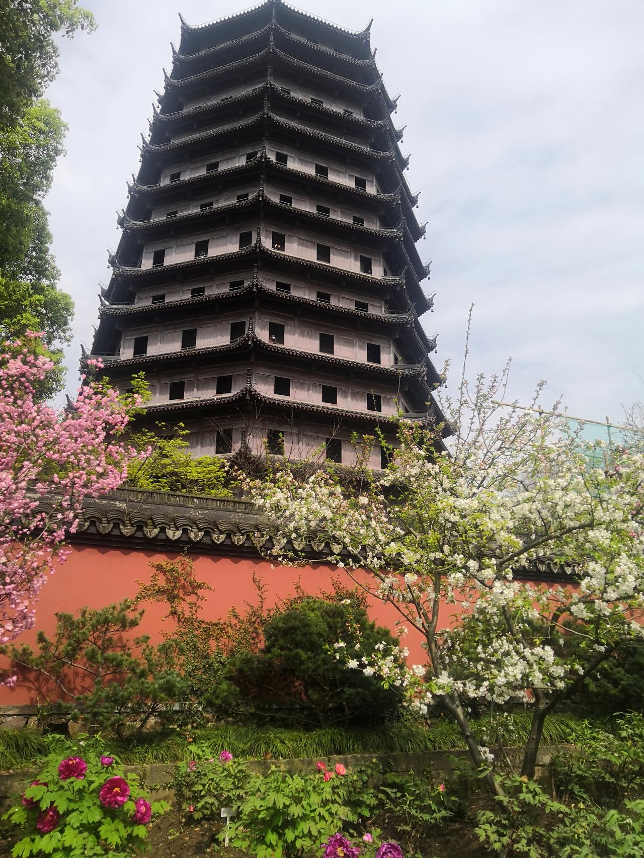 【六和塔下春意浓】