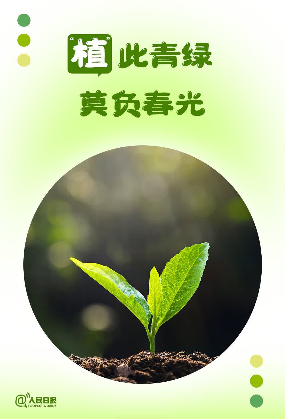 【不负春光！收藏】“今天的‘苗’小梦想，会变成明天的满树繁花”“给生活比个‘叶’