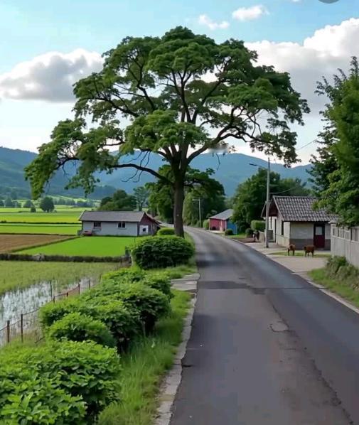 泰王访华藏大看点！中泰这波互动太实在了泰国国王这次来华访问，真的刷新很多人