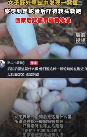 胆子真够大，深山里的野蛋也敢伸手摸！5月6日，浙江一女子去户外爬山，在草丛里瞅见