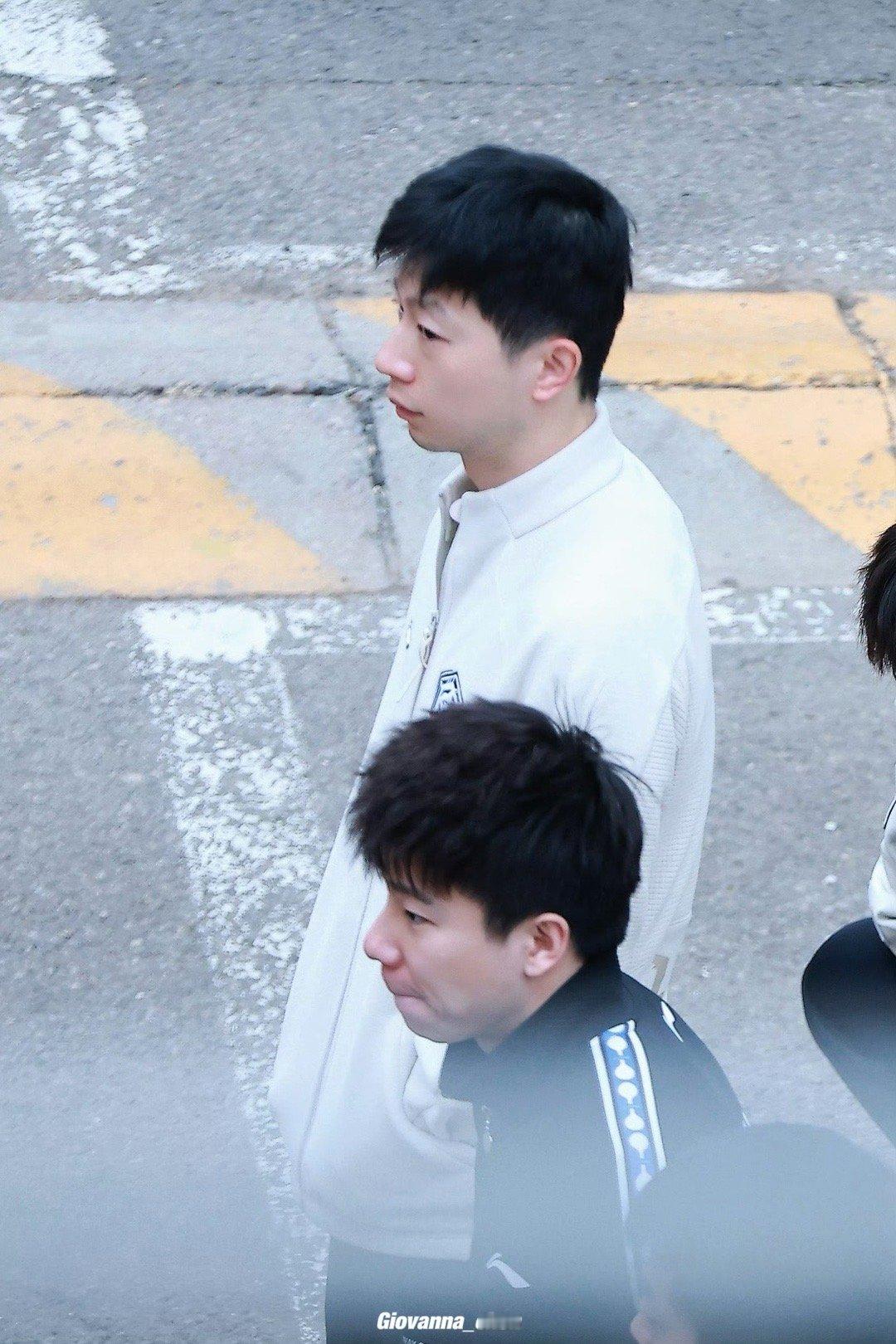 很困的时候想想猫