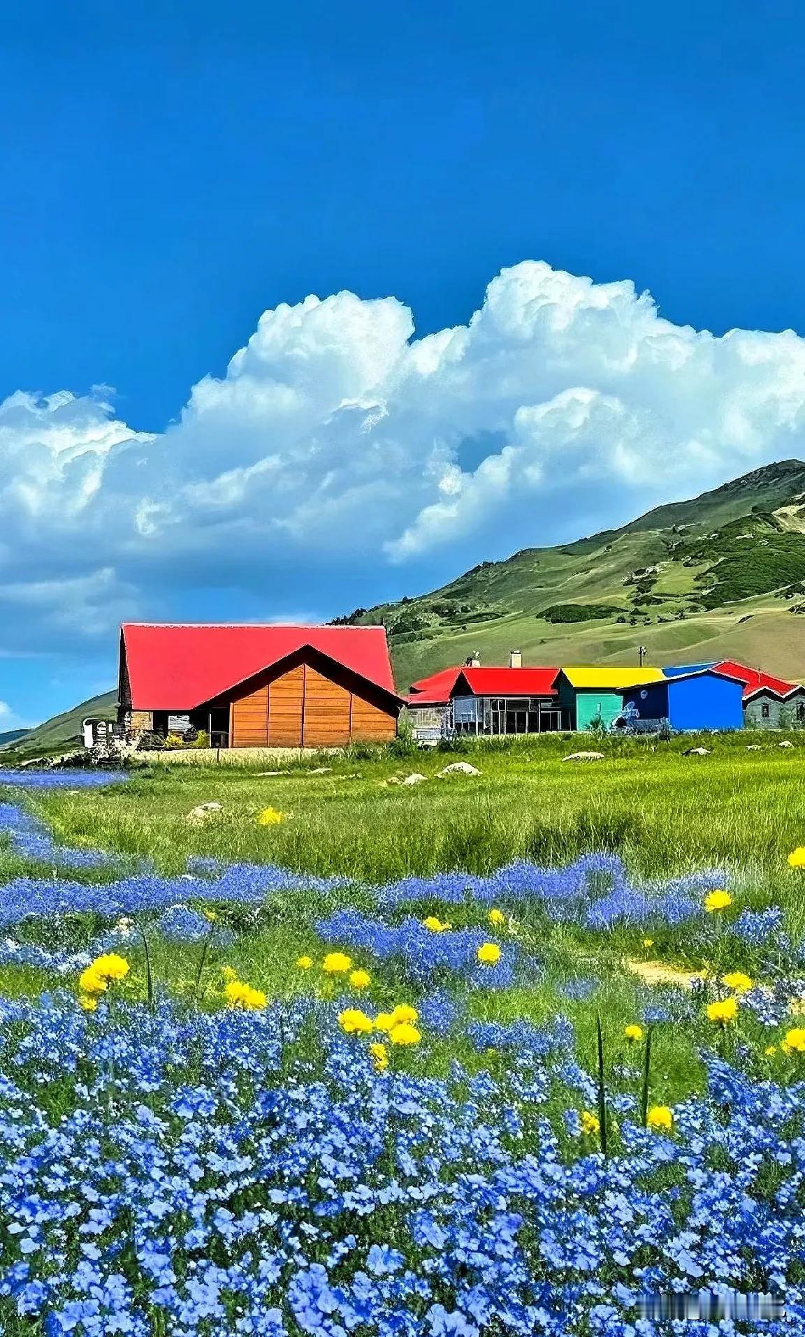 一位医生令人醍醐灌顶的话：“奉劝中老年人别洗澡了！尤其老年人，洗一次澡等于生一