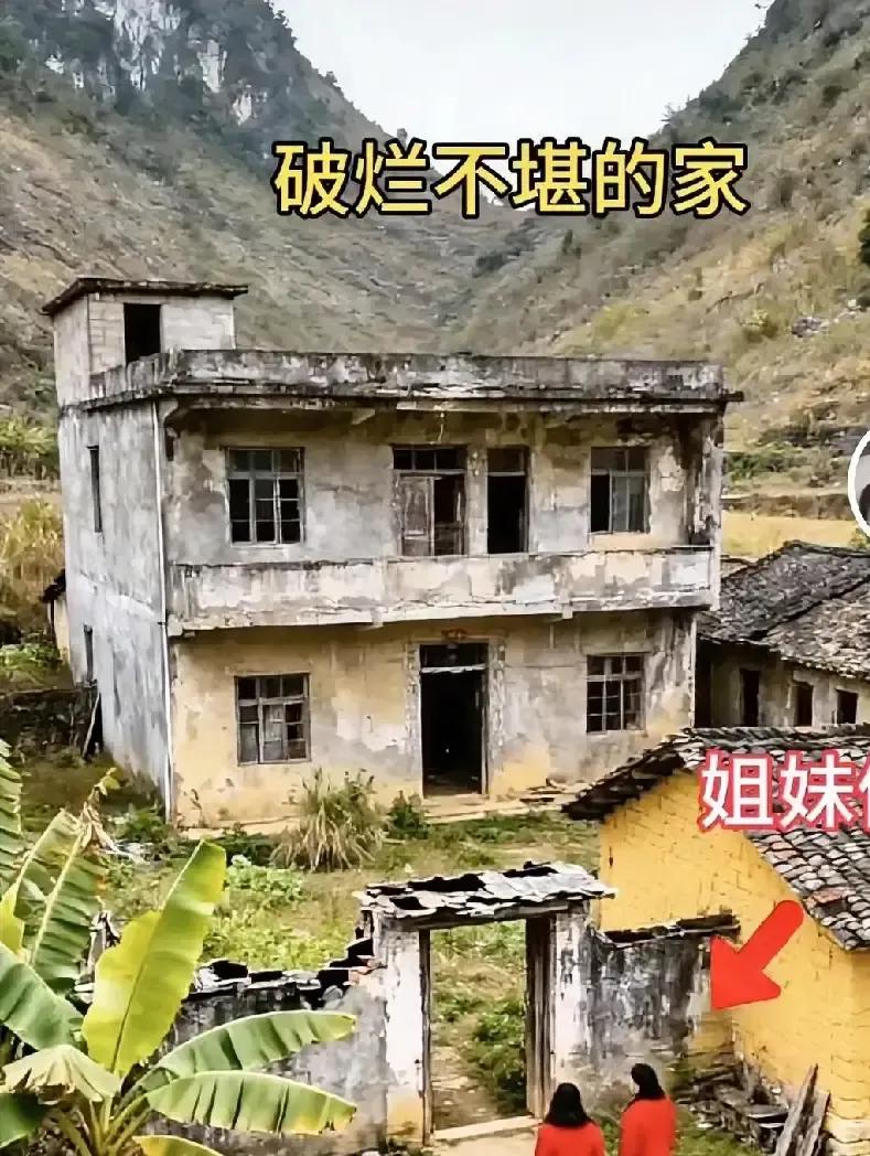 老房挂出去三个月没人问，连本村都没人接手。墙皮掉得像地图，院子草高过腰，我回去