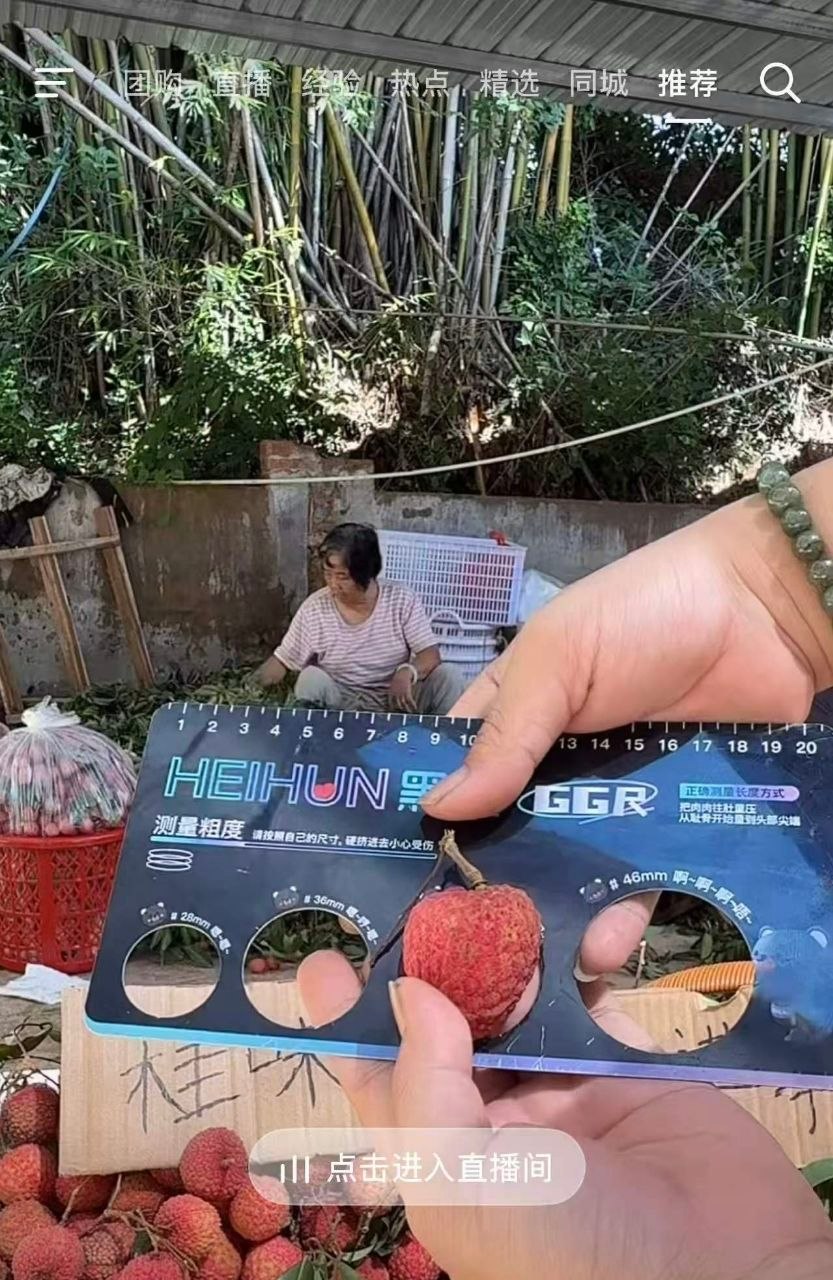 此乃何物