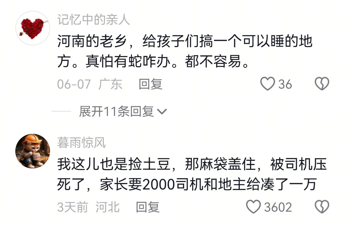 有些在田里睡觉的孩子就再也长不大了