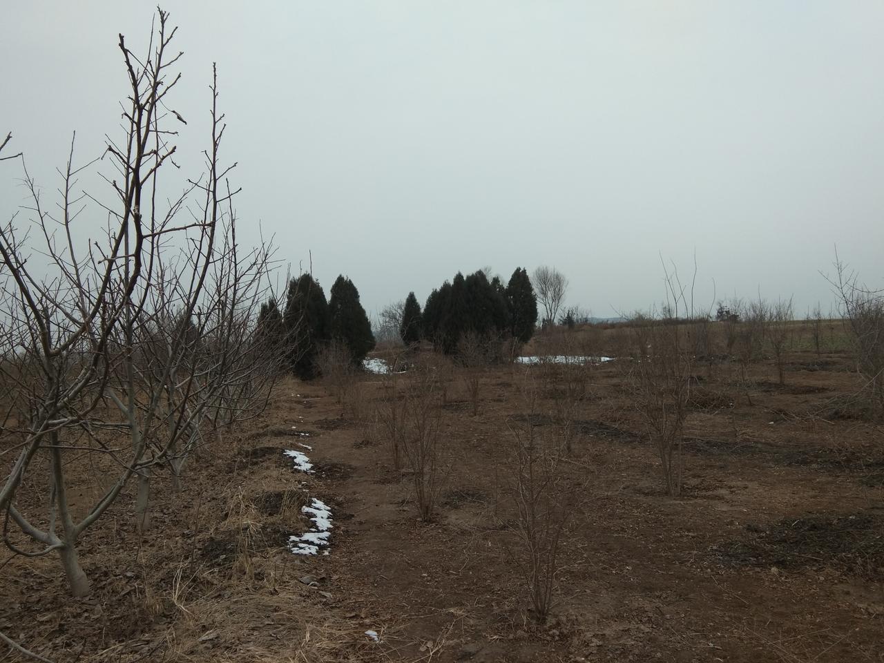 关于巩义市河洛镇几个村名的传说相传，隋朝时有一位领兵的将军，该将军非常迷信，