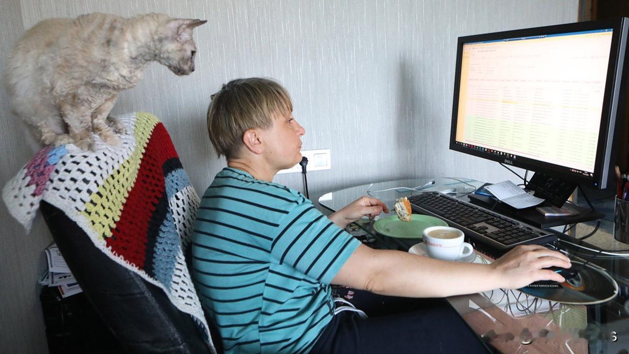 “彻底清除整个互联网。”国家杜马提议通过一项法律，要求使用护照才能访问互联网