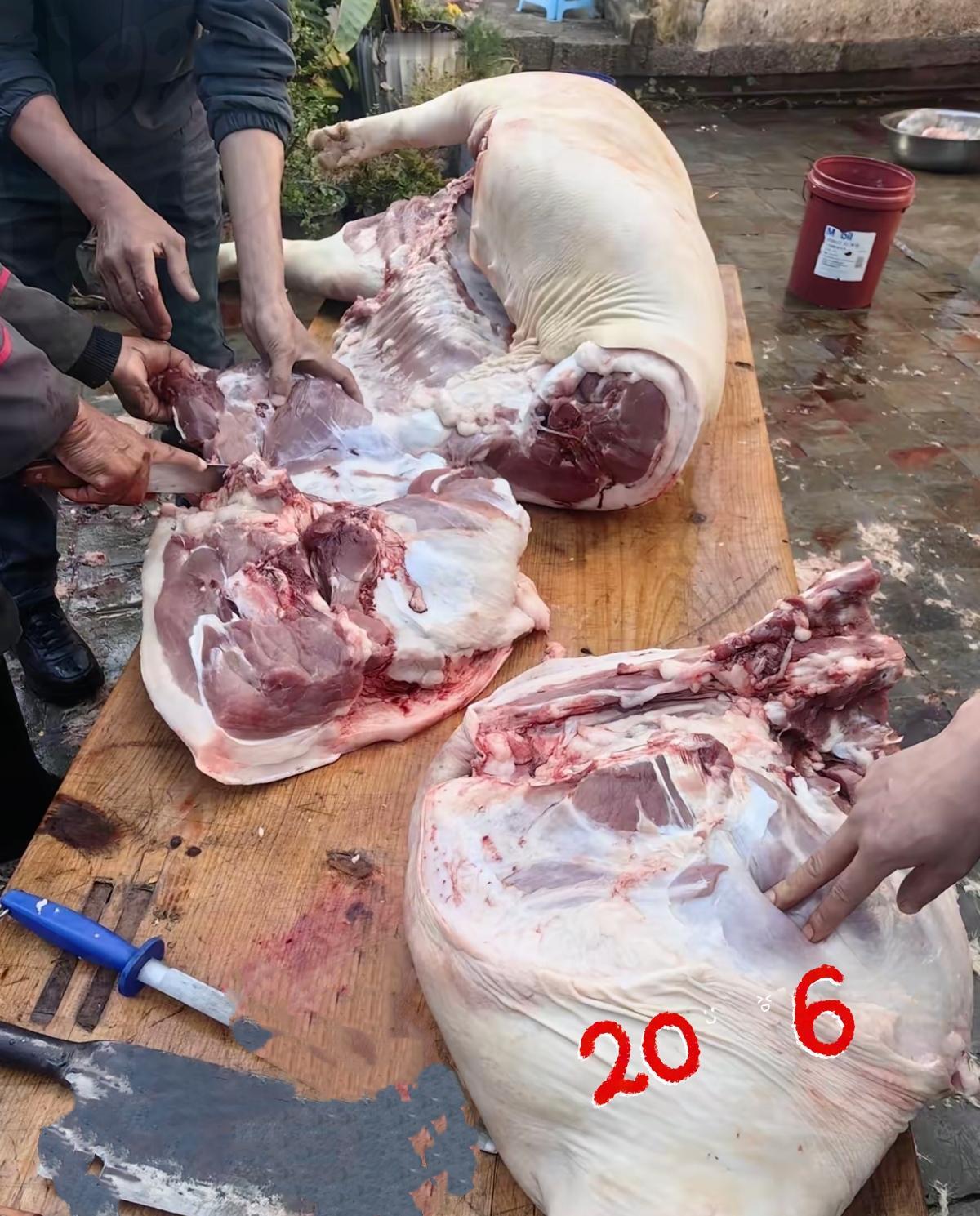 真的挺寒心的，我妈嘴上天天说着儿子女儿都一样，结果家里喂的年猪杀了，给我分一腿猪