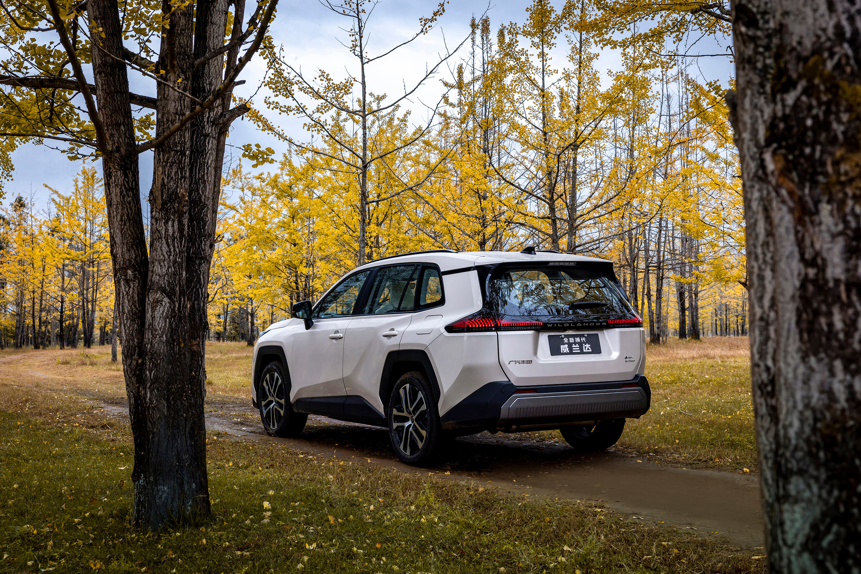 全新换代威兰达今天下午即将正式发布，原汁原味的丰田设计语言，搭载第五代智能电混双