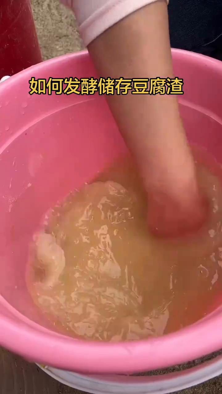 如何发酵储存豆腐渣？用豆腐渣养殖特别的便宜，但是很多人不知道怎么去用才能达到它