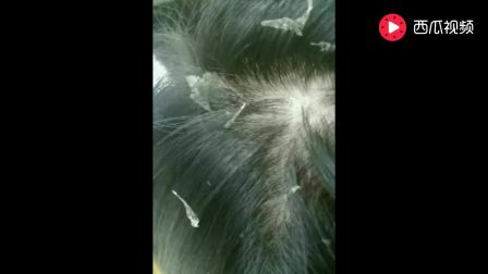 5705796339713310044.jpg?id=0