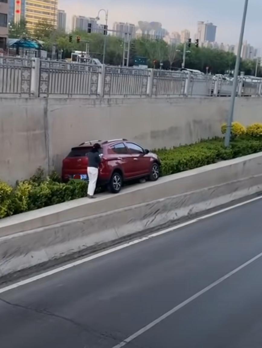 好奇怪呀，合肥这位姐姐，到底是怎么把车开上绿化带的？她情绪很稳定，也没有受伤