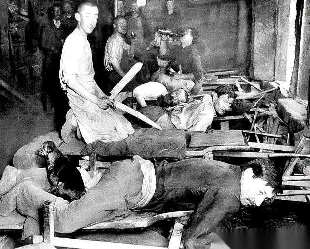 一张老照片，人趴着，狗也趴着。狗，就那么稳稳地，趴在人的腿上。你别笑，这不是