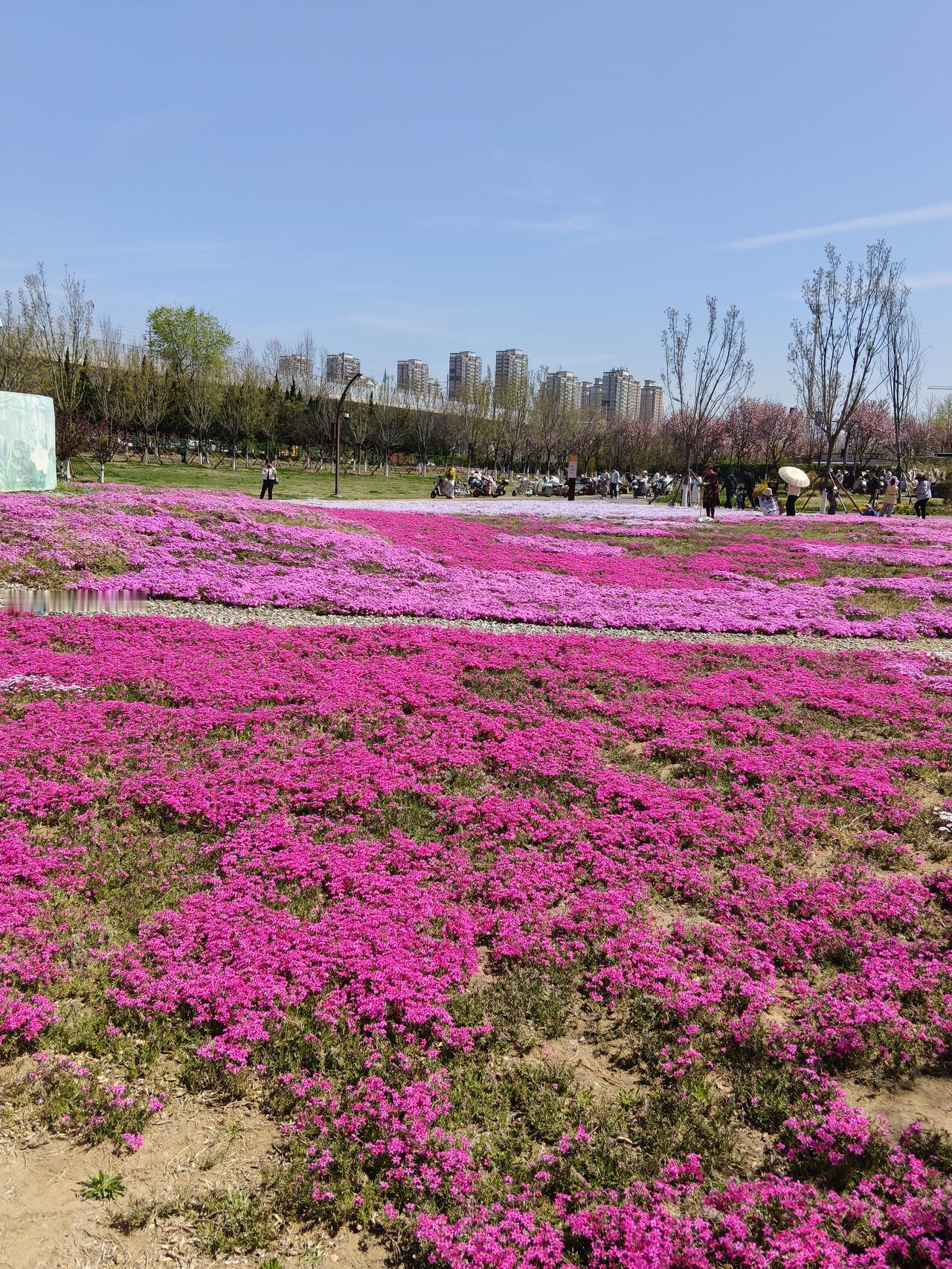 愈有钱便愈小气？我生活在胶东沿海的小城，威市中有一条大河穿城而过，河边公园