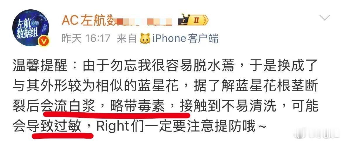 数饺子谋划已久