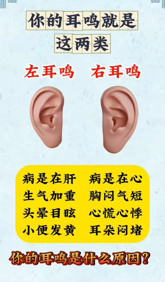 总耳鸣分不清根源？左右耳对应脏腑不一样