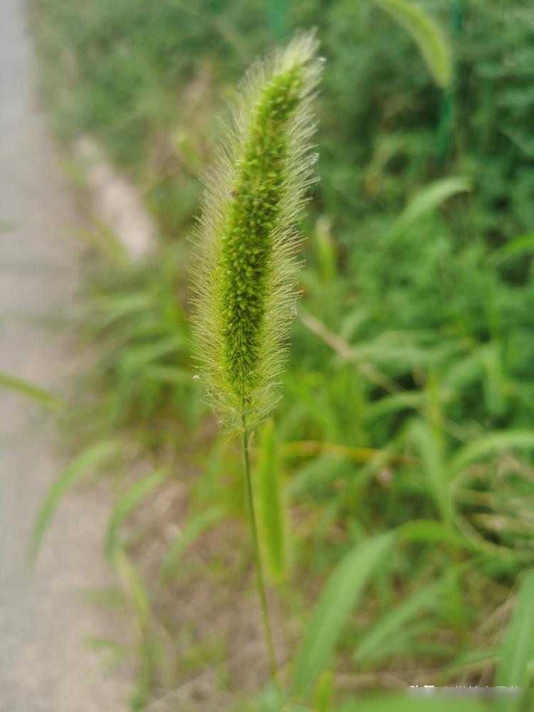 单位男女关系不正常，有以下几点，我才看明白了。说实话我做HR十几年，见得多了