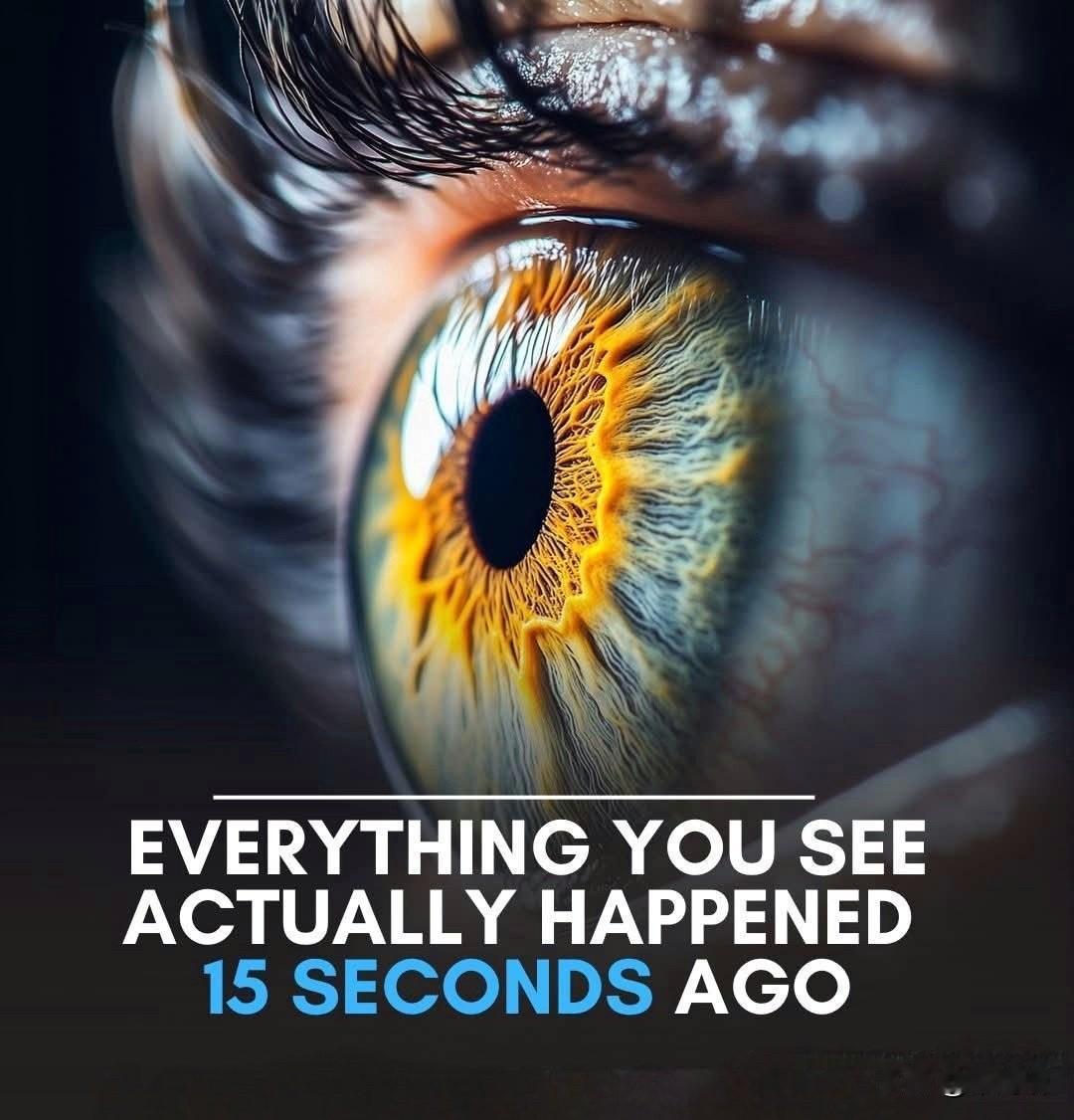 人类视觉存在15秒的延迟，这意味着你现在看到的景象实际上发生在过去。我们