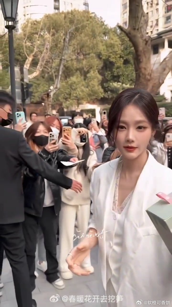 谁把李一桐挤成这样了李一桐被挤成这样了被挤到五官模糊，还在努力微笑营业，这波接地