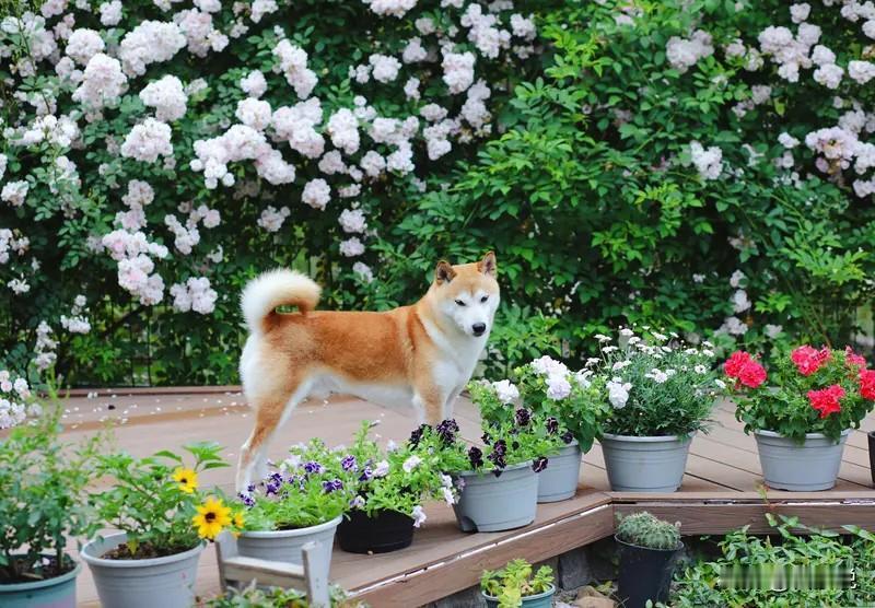 王志文有句经典台词：“在江湖中，台上讲的是规矩，私下走的是关系；嘴里喊的是正义，