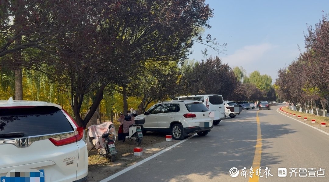 济南百里黄河风景区道路设路桩, 相关部门: 防止车辆驶入绿化区域