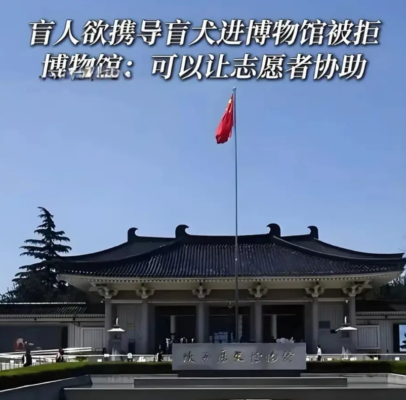 《新京报》——不允许盲人带导盲犬进博物馆，盲人权利如何保障？网友：汽车方向盘没