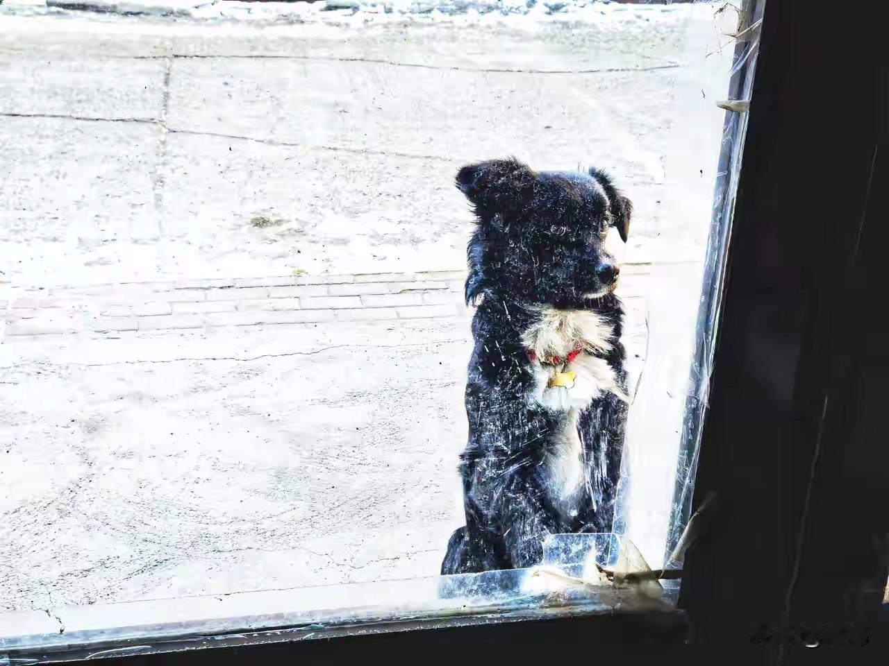 泪目了！这是一个冬日，窗外飘着暴雪，一位小姐姐在家里烤着火，吃着零食看电视，正当