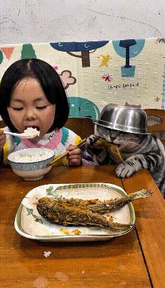 家人们！这事儿给我笑喷了！小姑娘正香滋滋啃炸鱼呢，旁边那只猫馋得直吧嗒嘴，扒着桌