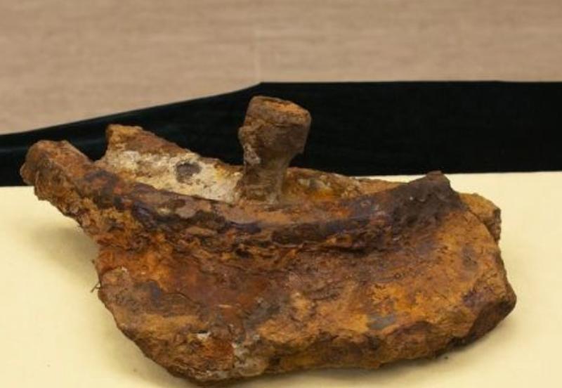 甲午海战中著名的定远舰时隔124年终于现身，打捞出的舰上遗物令人感慨万千！18