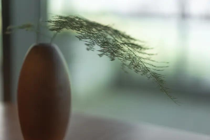 “一壸清酒清风醉，两盏绿茶正气香”，此对联实在妙哉！清酒与清风相搭，那情境宛如于