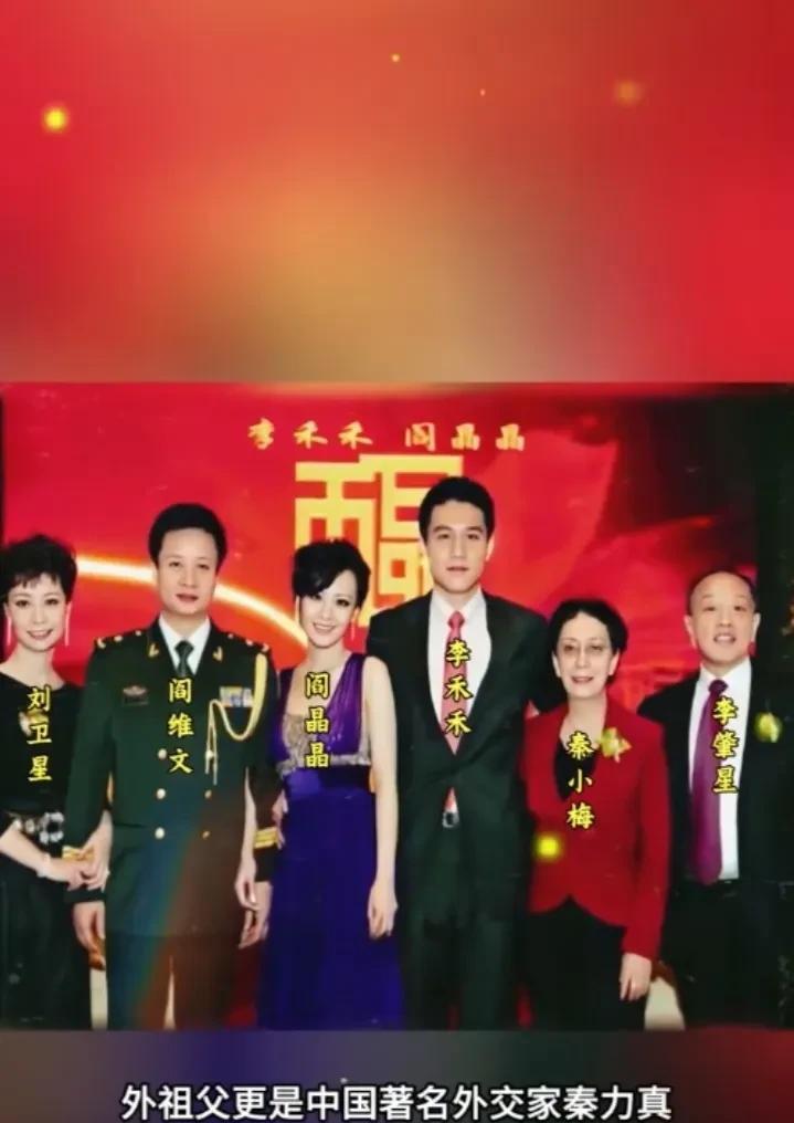 李肇星的儿子李禾禾和阎维文的女儿阎晶晶，结婚时拍的全家福合影，两家合一家，幸福合