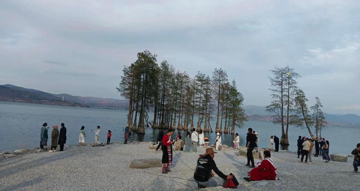 别等倒下才后悔。年轻人不是铁打的，心脏扛不住连续熬夜、高压加班、顿顿外卖。医