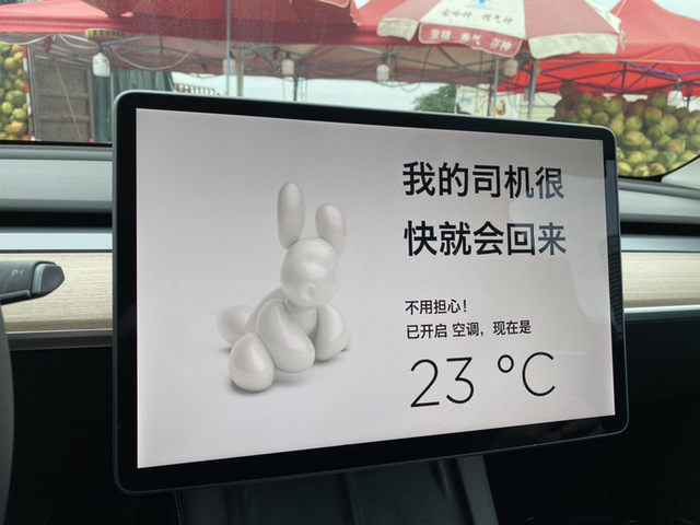 特斯拉的一个BUG其他车友遇到过吗进入爱犬模式，然后下车去买椰子🥥，等我椰