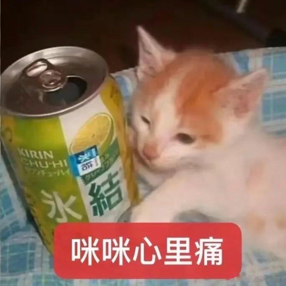 猫咪表情包。