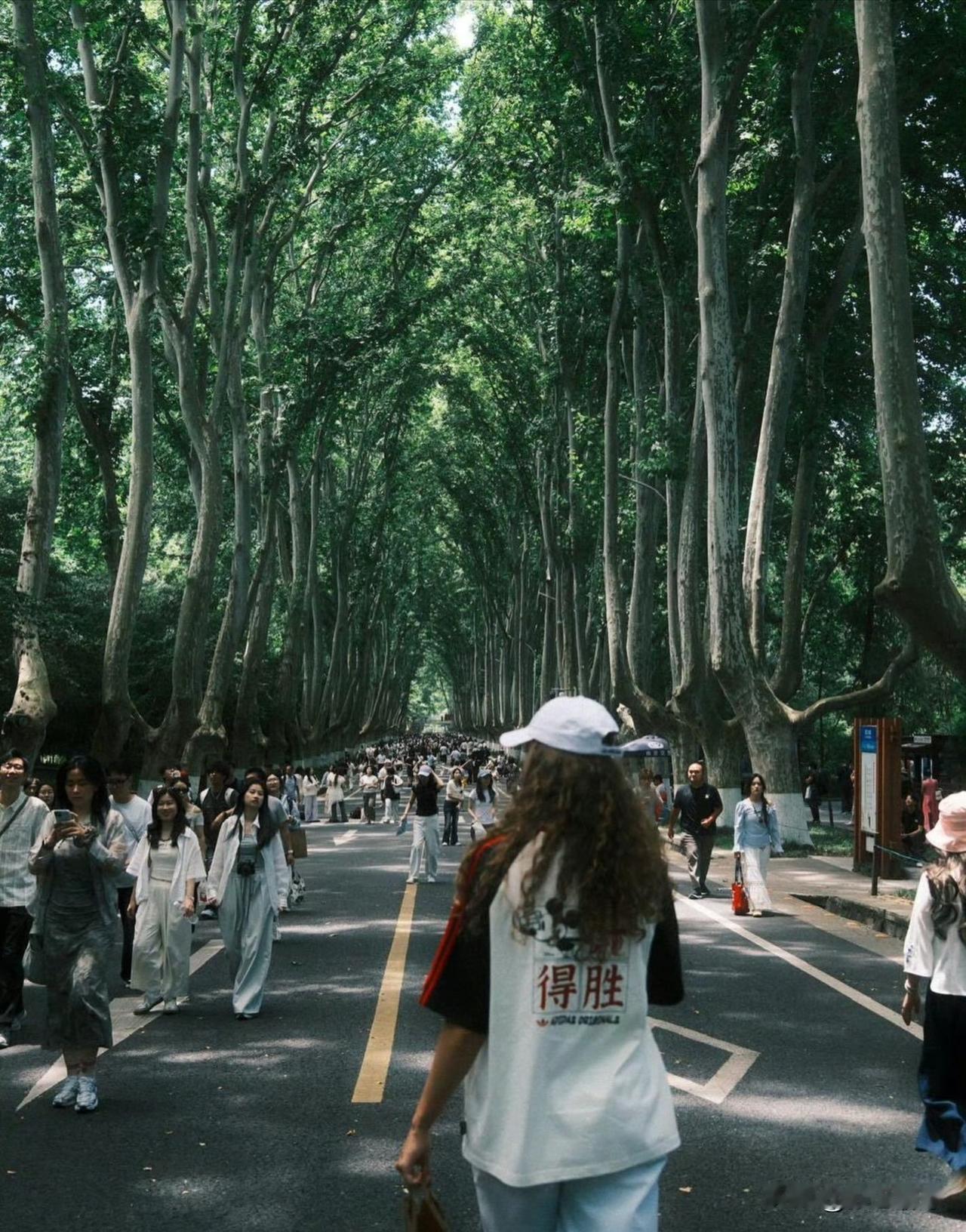 波兰女排看来是真的打完VNL第一周后继续留在中国调整……主攻齐尔尼安斯卡分享了自