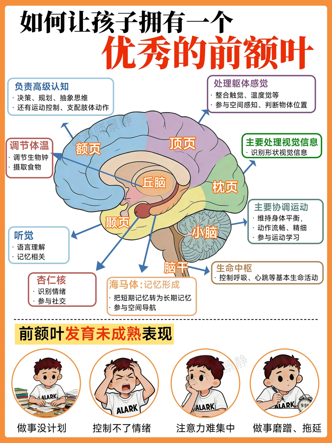 孩子前额叶没发育好，都是大人作出来的