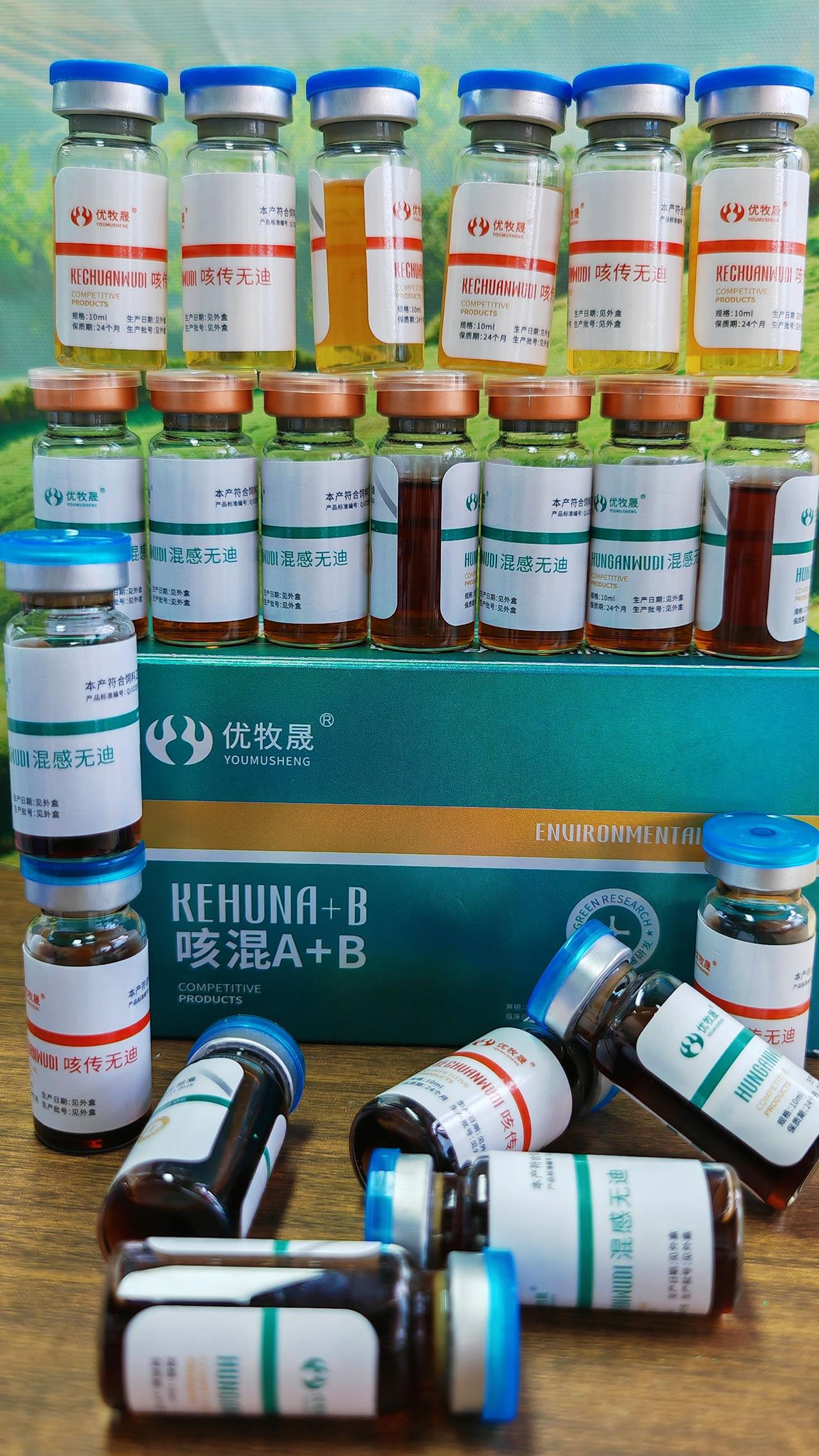 养羊人农村养羊牛羊养殖