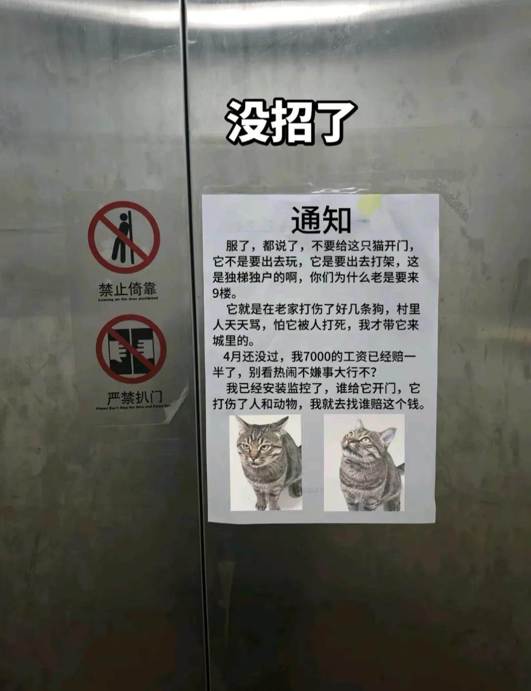 进电梯看到这，真是把我笑了两天。关键是它还有续集！[捂脸哭]