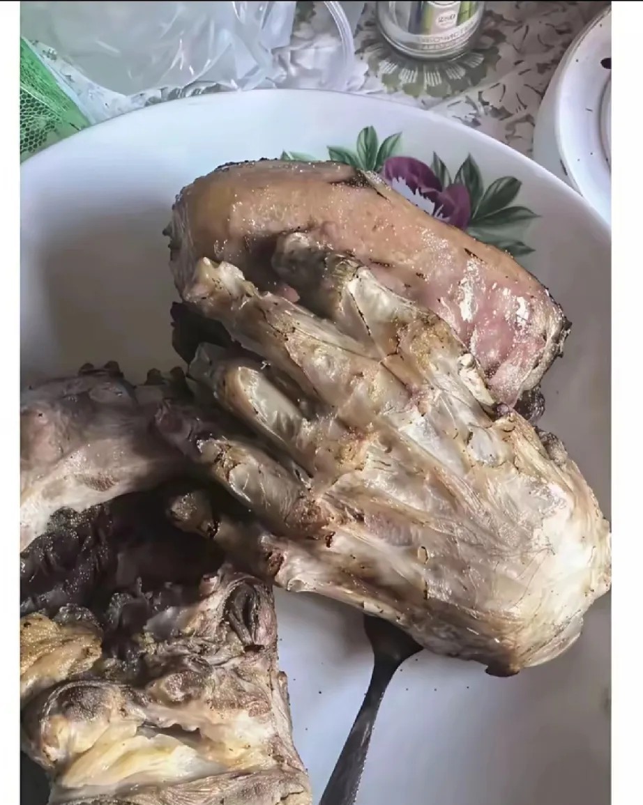 猜猜这是什么