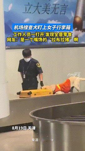 “误会大了！”天津，一女子通过机场安检时，搜查犬忽然盯上了她的行李箱，随后就疯狂